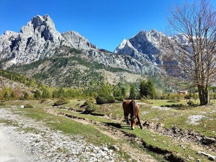 Bujtina Arlindi Bed & Breakfast Valbone Luaran gambar