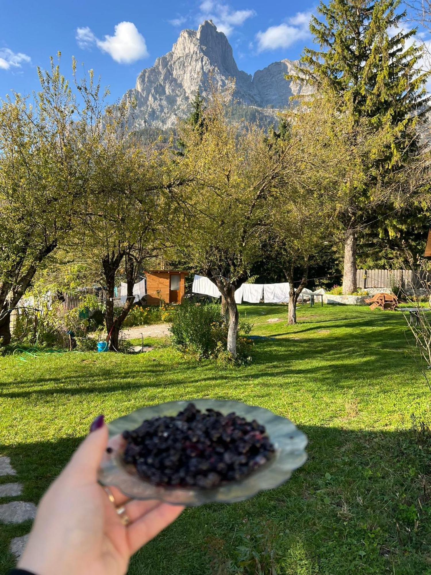 Bujtina Arlindi Bed & Breakfast Valbone Luaran gambar